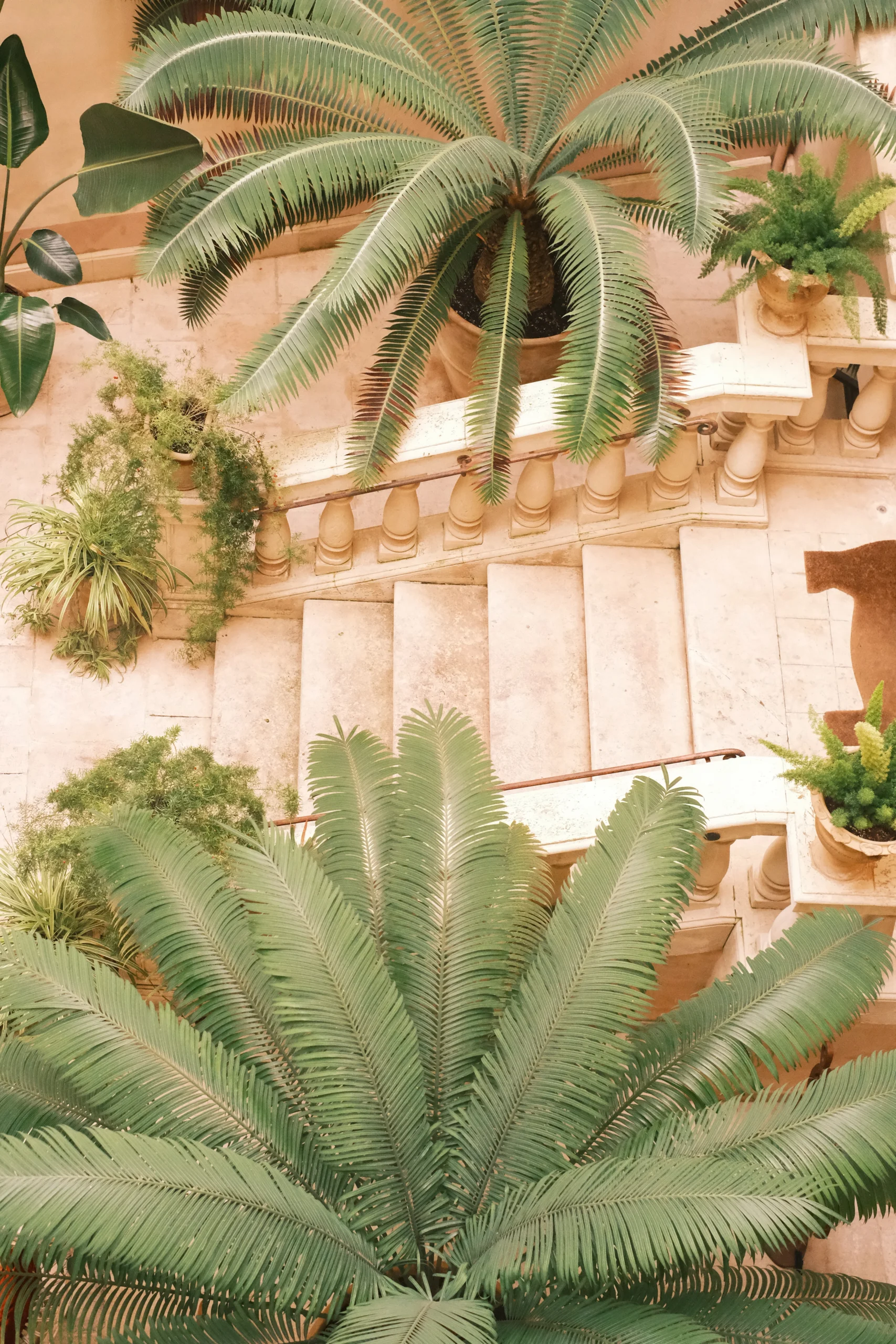 Overhead view of a historic Italian courtyard with stone staircase, palm trees, and Mediterranean plants