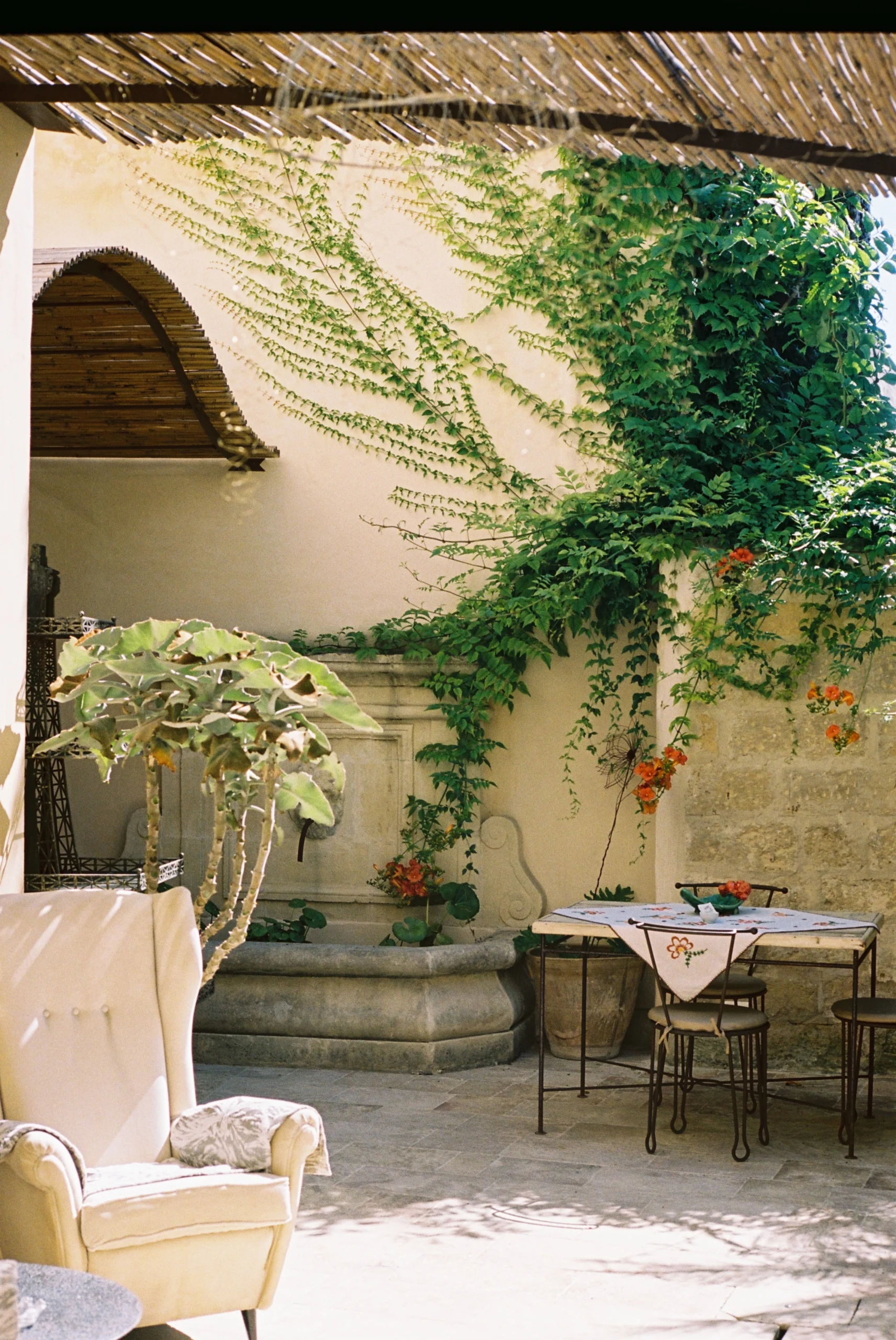 Outdoor dining area in historic courtyard with stone fountain, climbing plants and shaded seating in Puglia