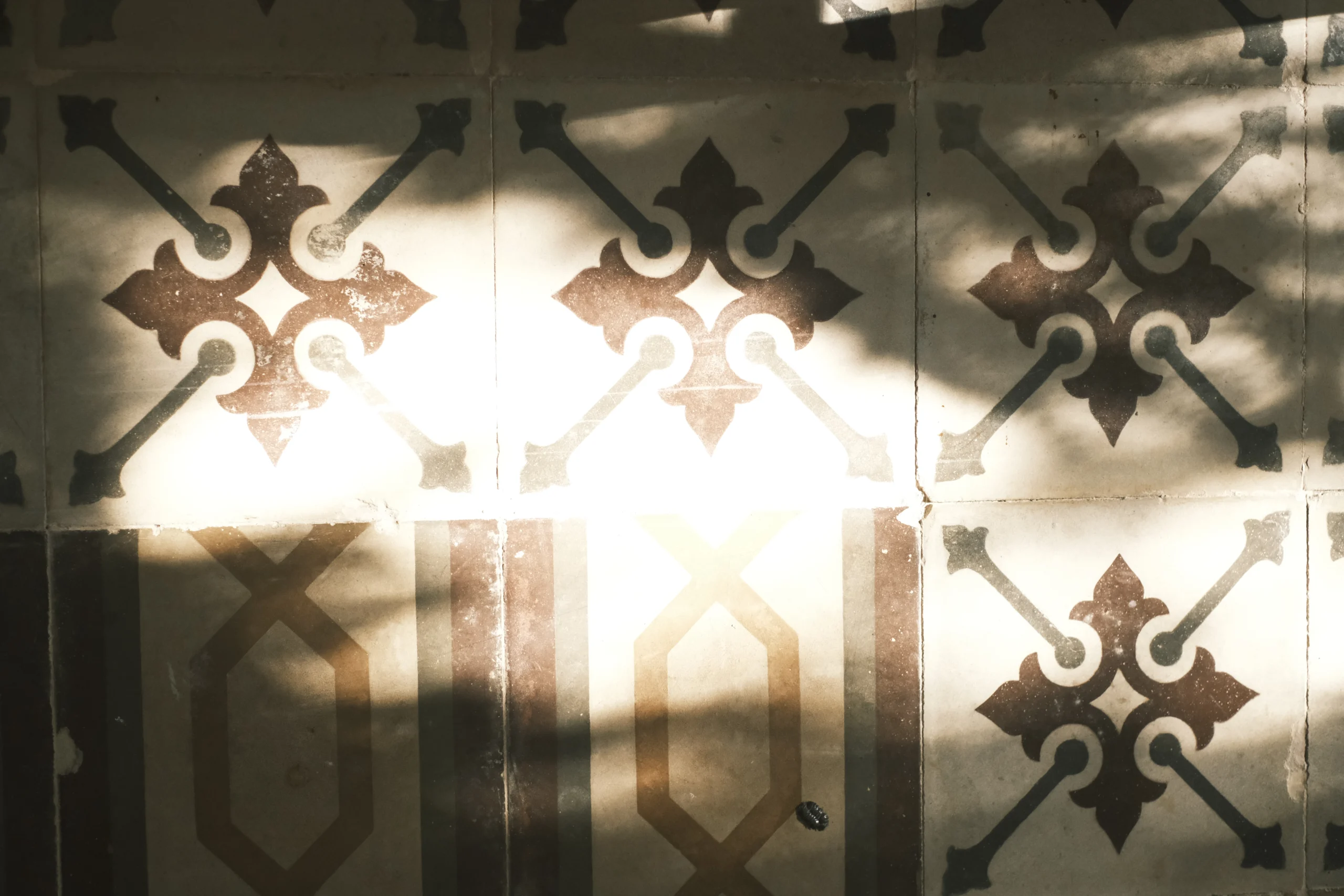 Close-up of traditional patterned cement tiles illuminated by natural light, highlighting authentic Apulian craftsmanship
