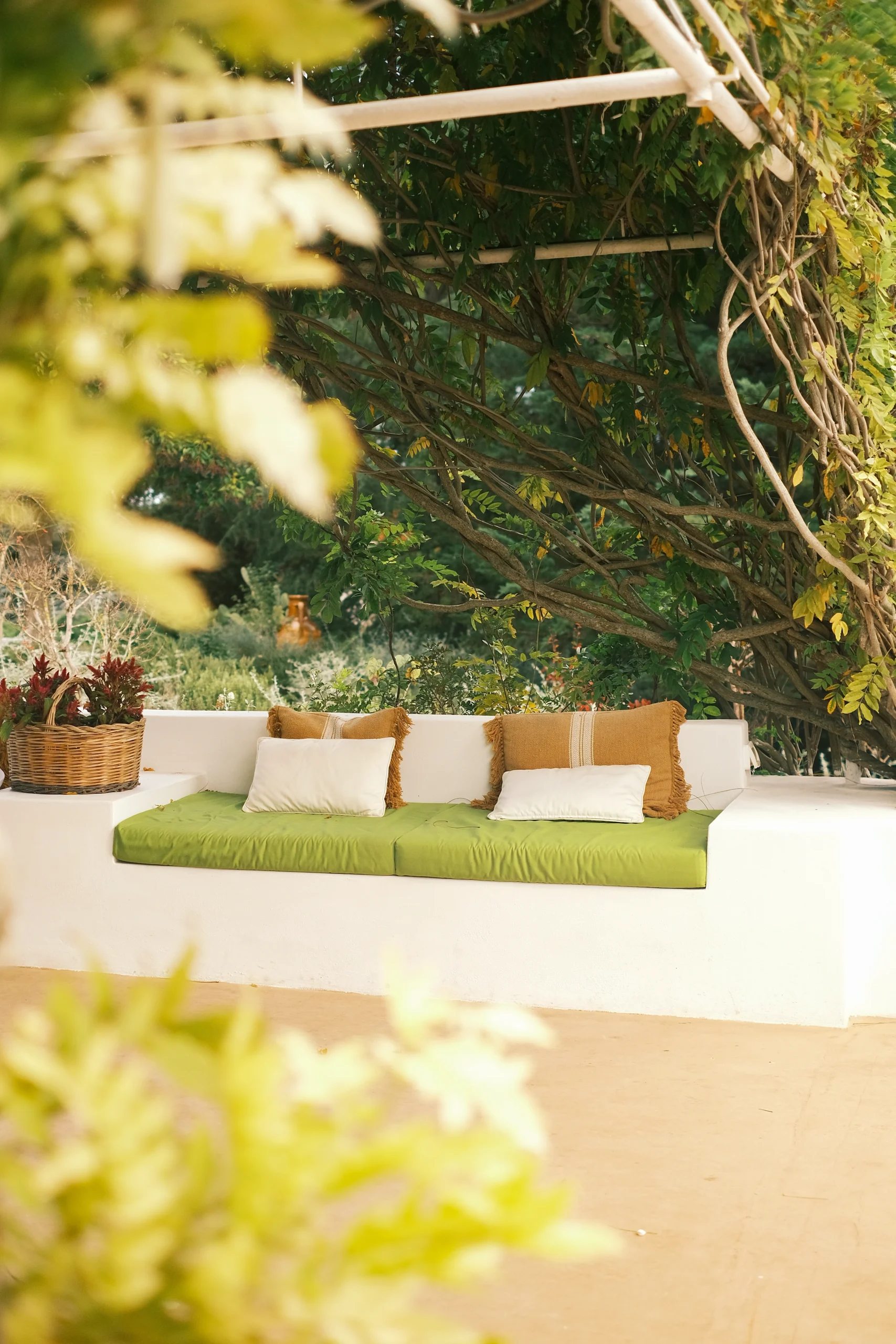 Built-in outdoor sofa with green cushions under a leafy pergola, ideal for relaxing in a private Puglia garden