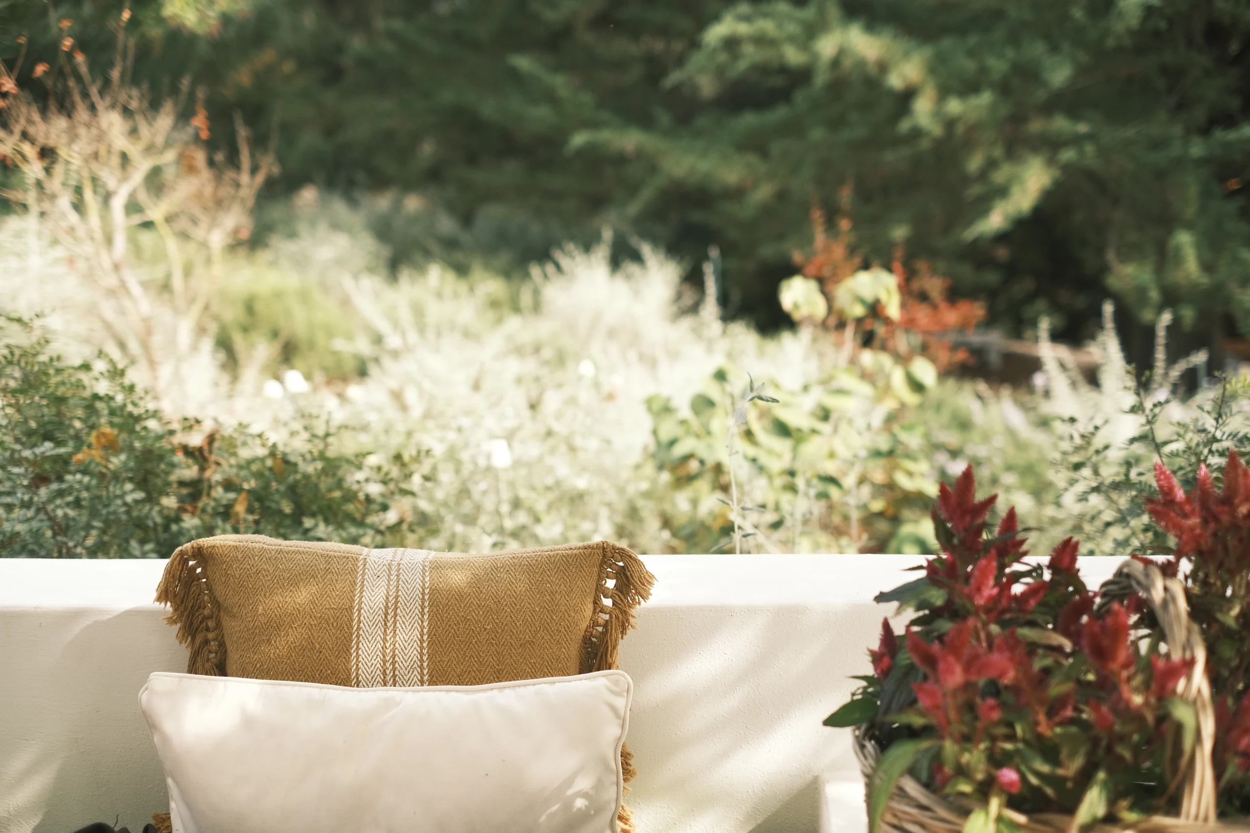 Garden seating detail with soft cushions and lush greenery, creating a peaceful outdoor living space in Puglia