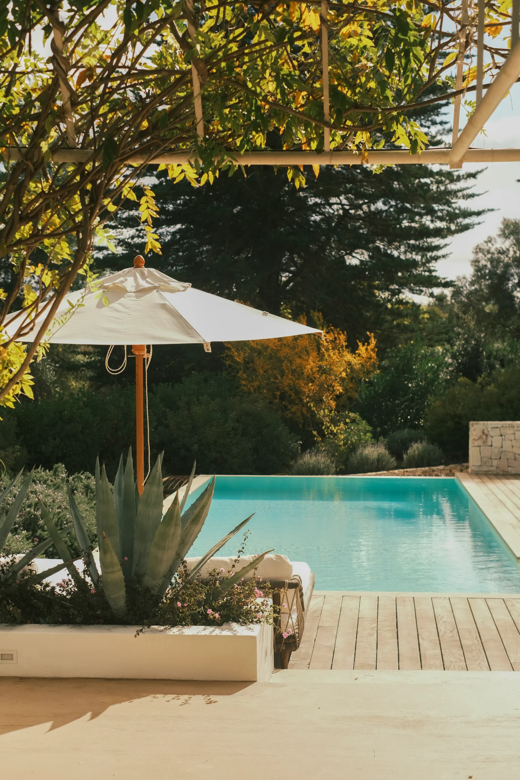 Shaded swimming pool surrounded by Mediterranean plants and wooden deck in a countryside villa in Puglia