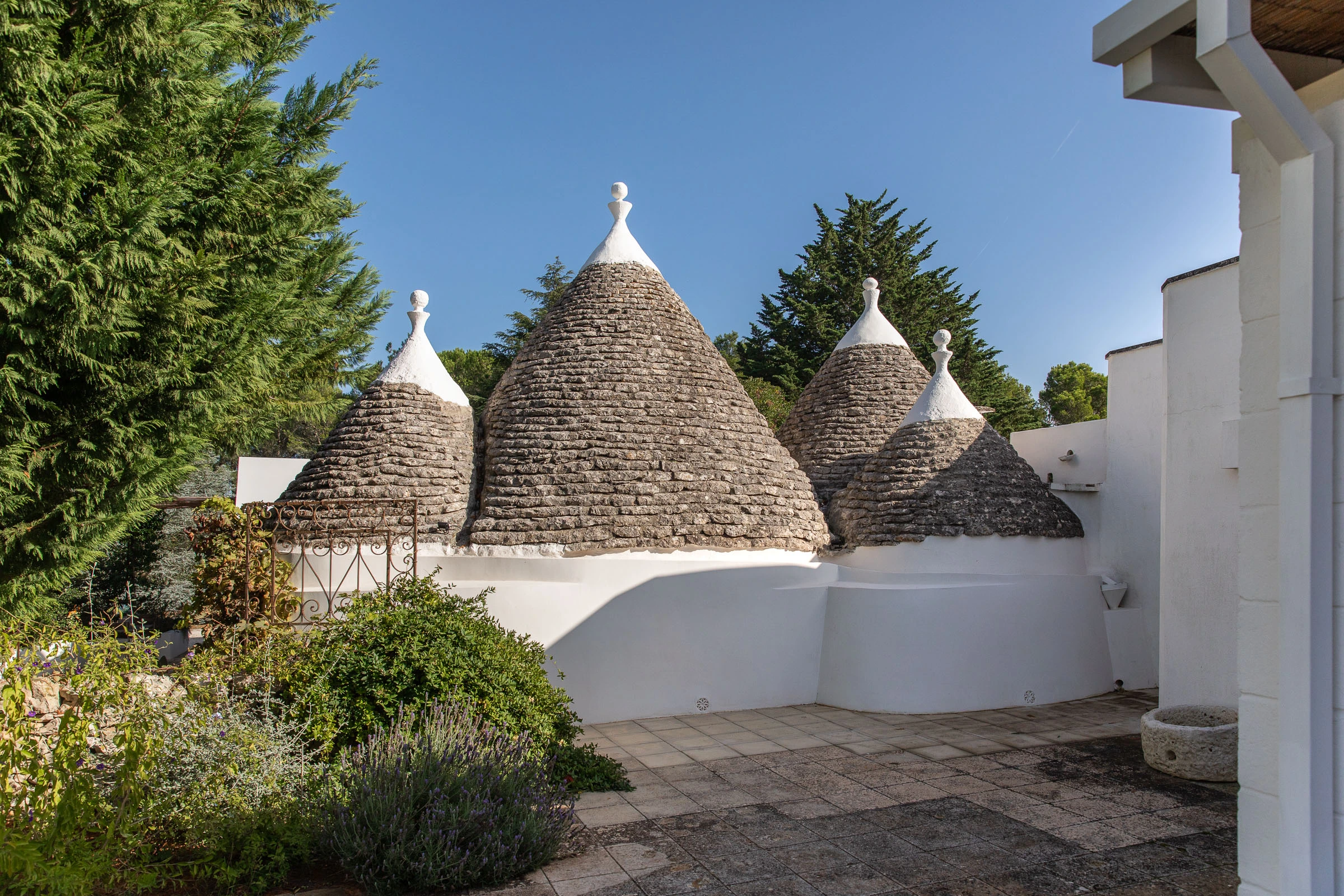 Golden retriever resting in a sunlit trullo courtyard surrounded by traditional Apulian architecture