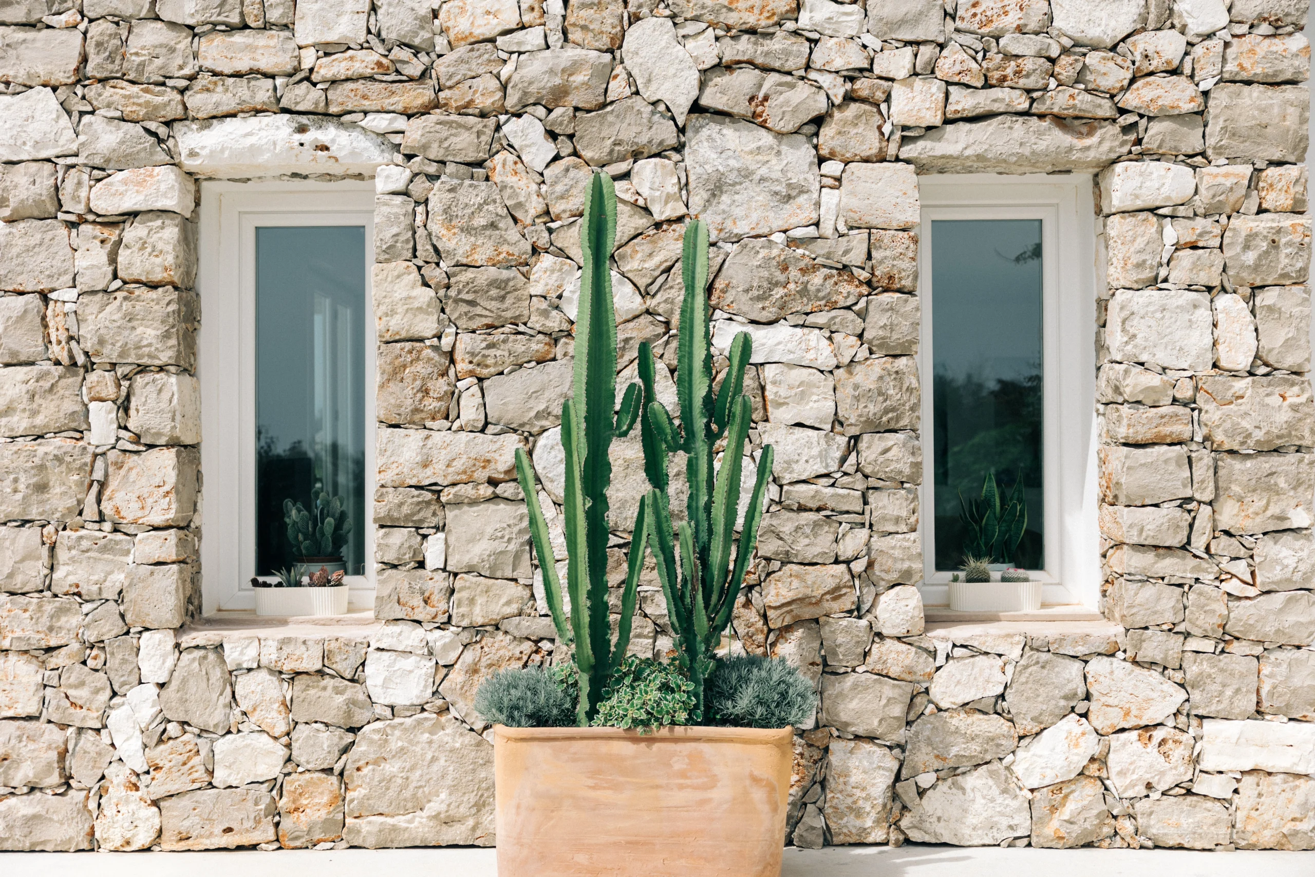 Close-up of Villa Leucade stone facade with symmetrical windows and potted cactus in modern Mediterranean style.