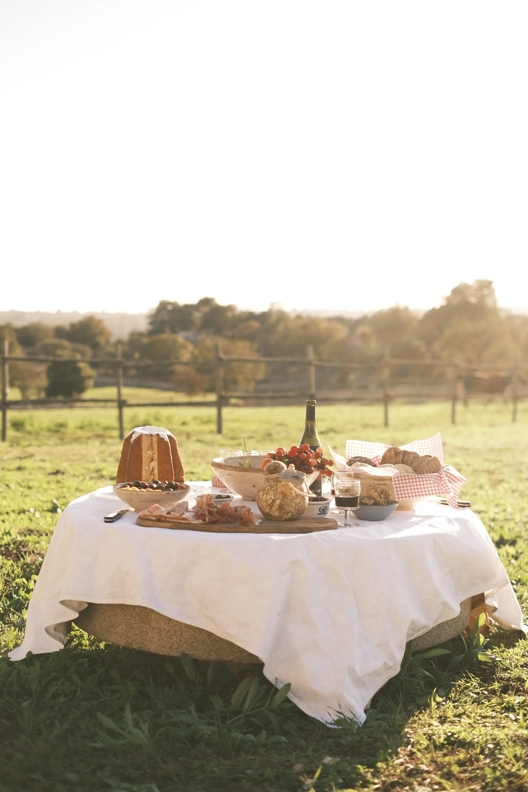 Outdoor picnic table with local food and wine in a private field at Villa Mira, Puglia