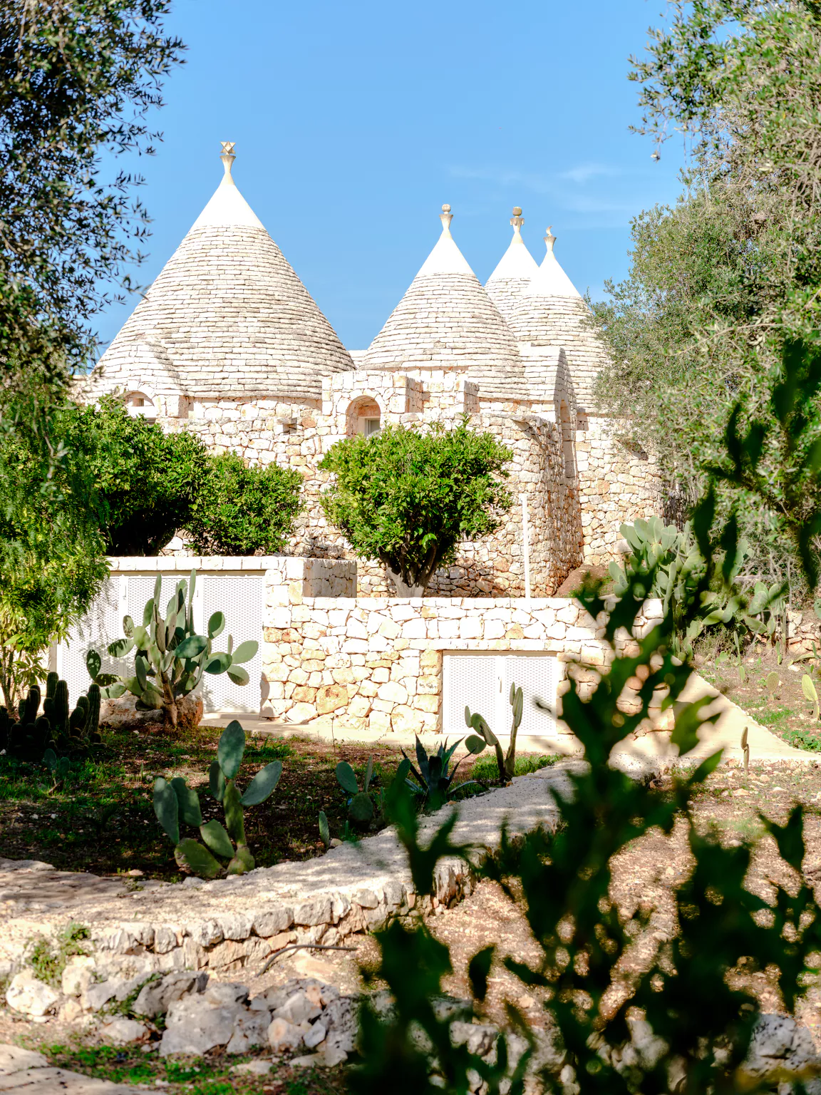 Cluster of traditional whitewashed trulli with conical stone roofs surrounded by olive trees, prickly pear cacti and Mediterranean garden in the Puglia countryside
