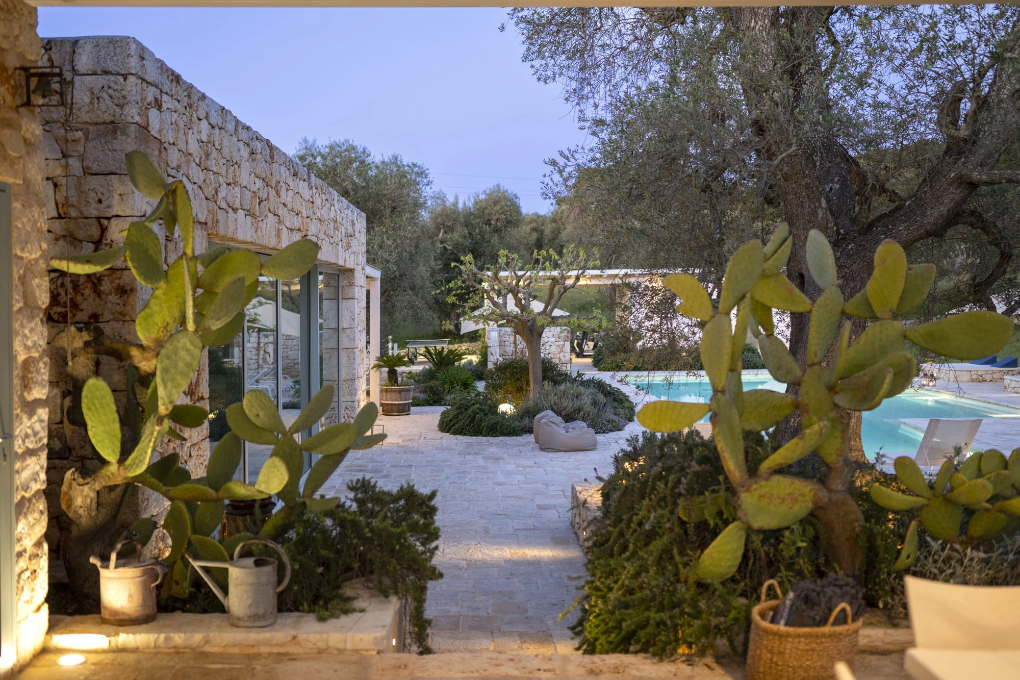 Luxury Puglia stone villa garden at dusk with large prickly pear cacti, limestone terrace, illuminated pool, olive trees and garden lighting, framed by an outdoor archway