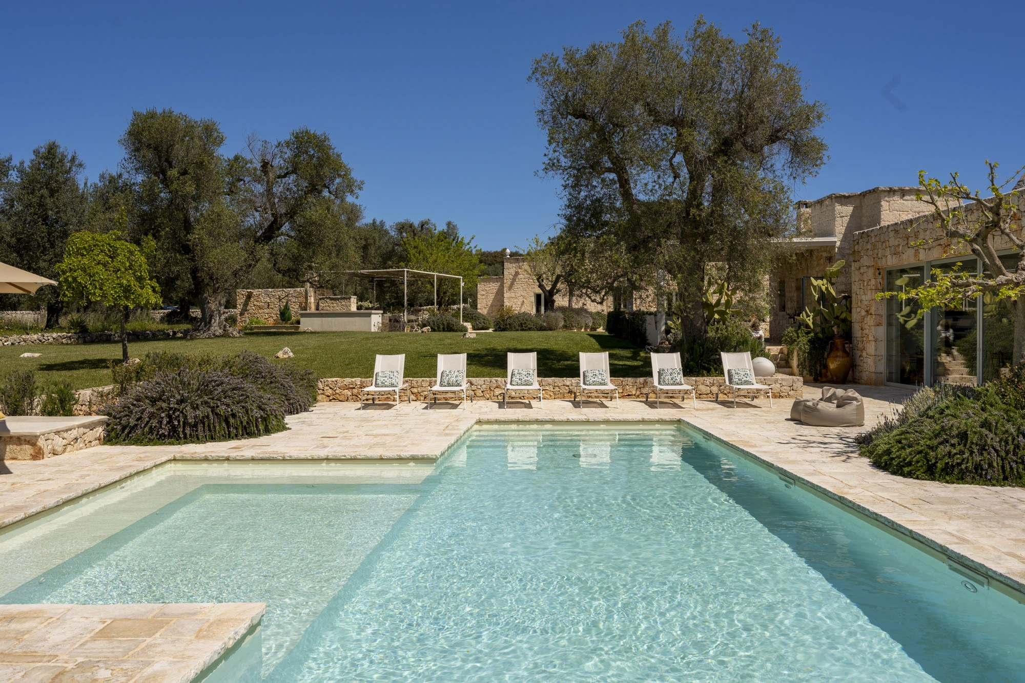 Wide rectangular swimming pool with crystal clear water, white sun loungers with blue cushions along dry-stone wall, outdoor pergola kitchen, terracotta amphora on terrace and ancient olive trees at a luxury Puglia trulli villa