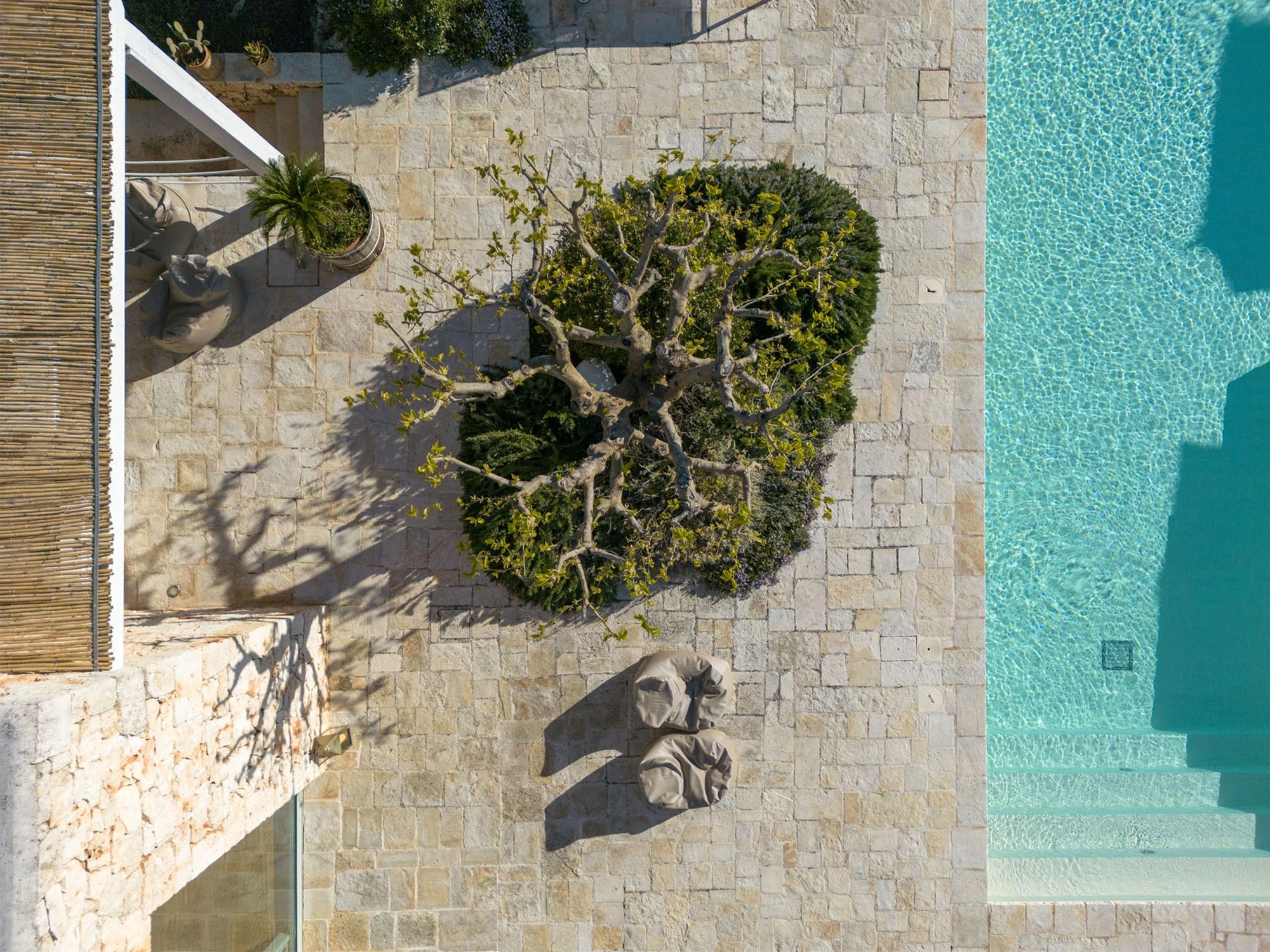 Bird's eye aerial view of rectangular turquoise swimming pool with ancient fig tree and shadow on limestone terrace, bean bag chairs and bamboo pergola at a luxury Puglia villa
