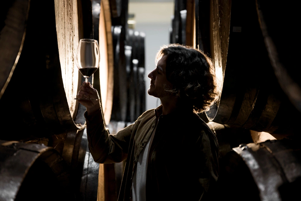 Person examining a glass of red wine among oak barrels in a winery cellar